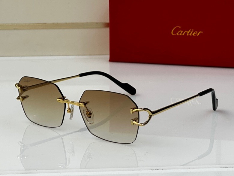 CTR Sunglasses AAA-217