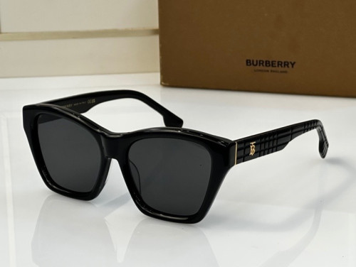 BU Sunglasses AAA-113