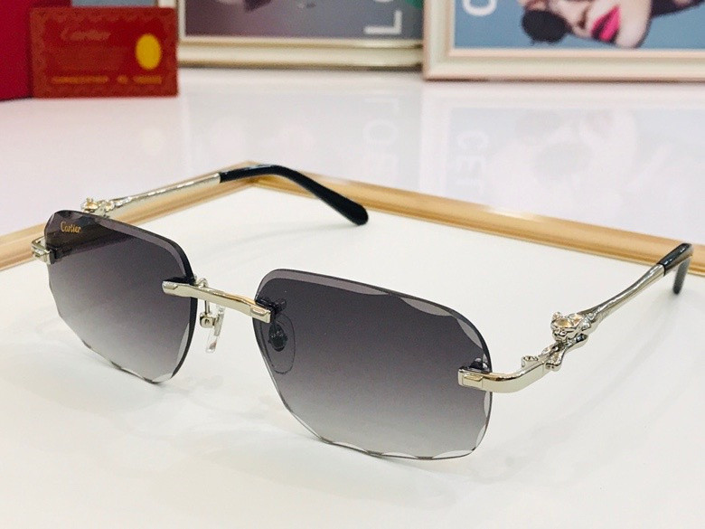 CTR Sunglasses AAA-224