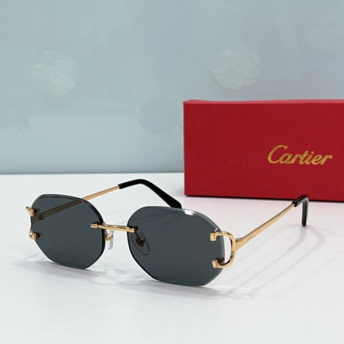 CTR Sunglasses AAA-215