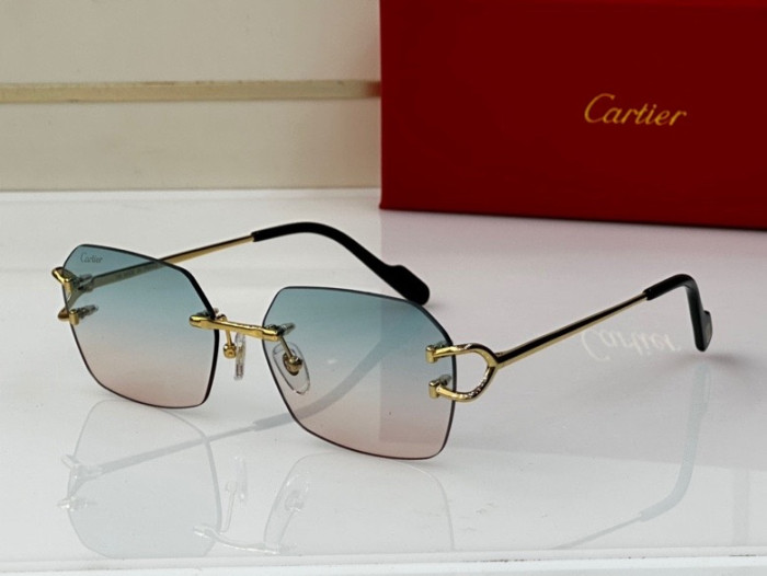 CTR Sunglasses AAA-217