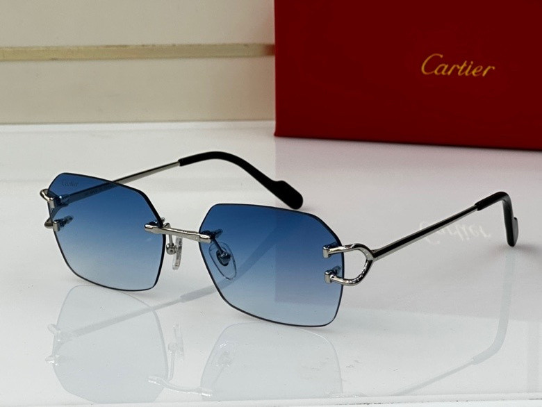 CTR Sunglasses AAA-217