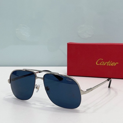 CTR Sunglasses AAA-213