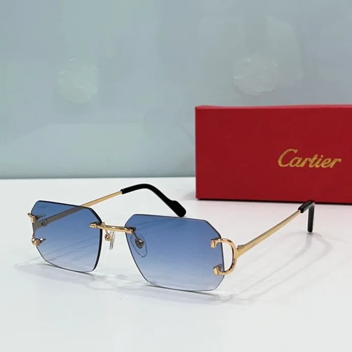 CTR Sunglasses AAA-216
