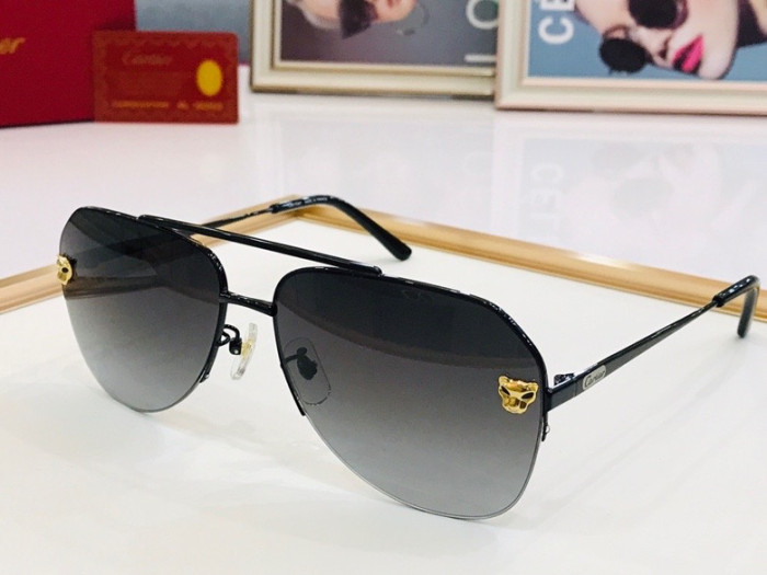CTR Sunglasses AAA-218