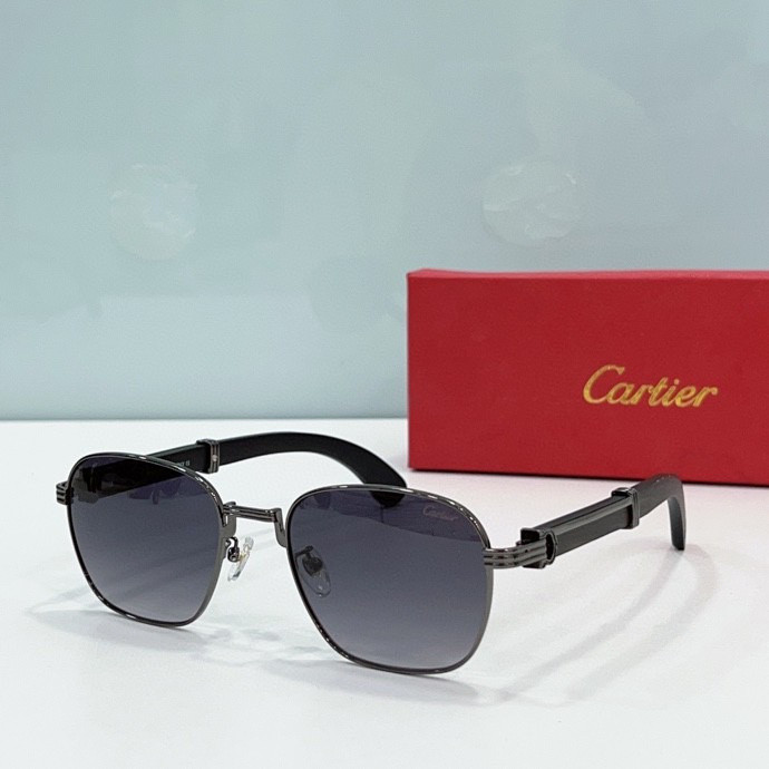CTR Sunglasses AAA-214