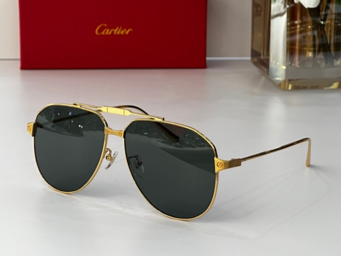 CTR Sunglasses AAA-229