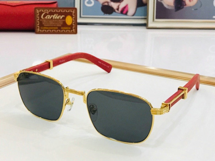 CTR Sunglasses AAA-249