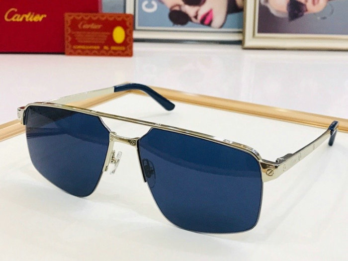 CTR Sunglasses AAA-243