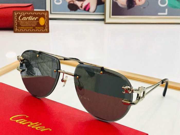 CTR Sunglasses AAA-248