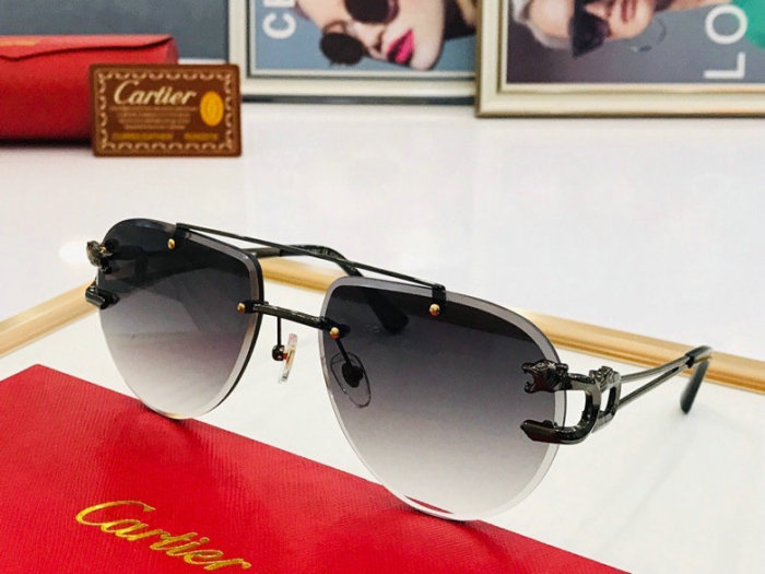 CTR Sunglasses AAA-248