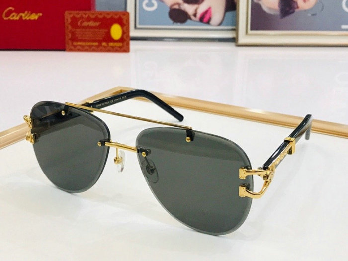 CTR Sunglasses AAA-245