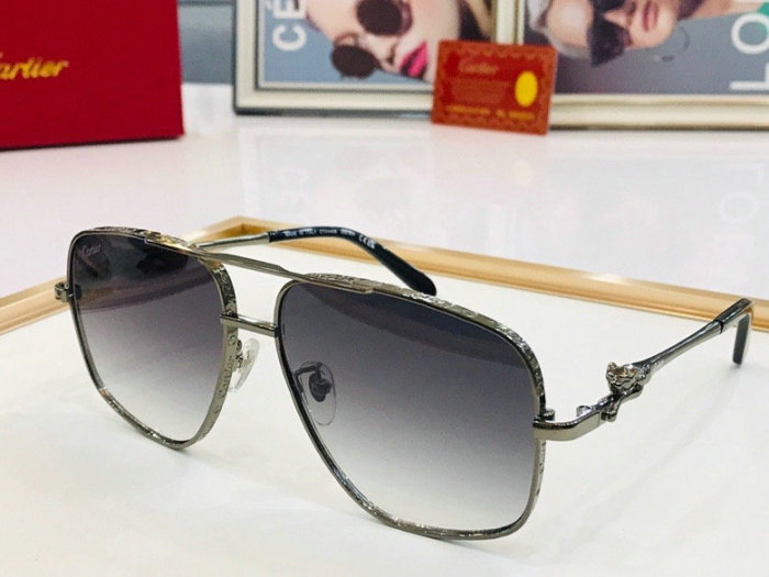 CTR Sunglasses AAA-240
