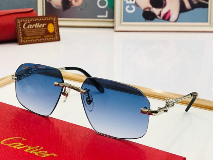 CTR Sunglasses AAA-256