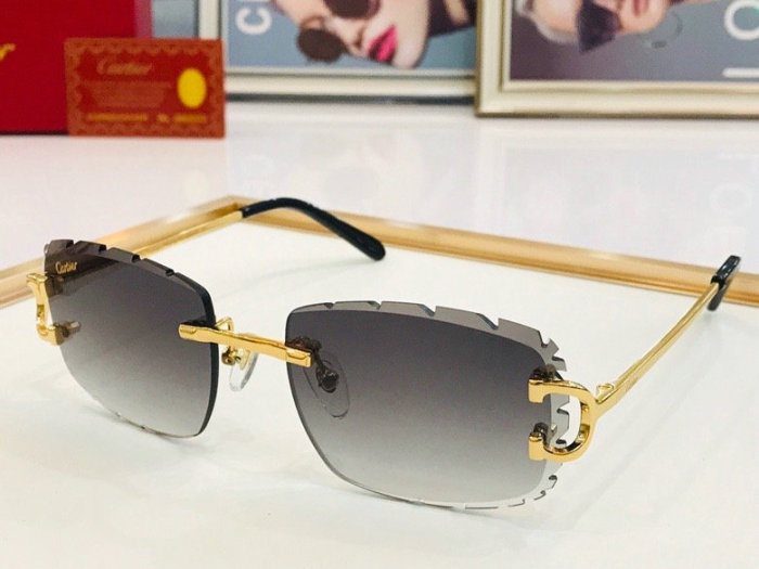 CTR Sunglasses AAA-244