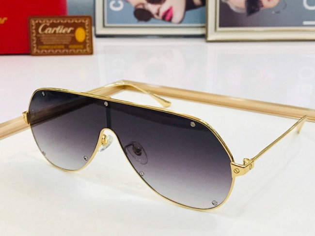 CTR Sunglasses AAA-255