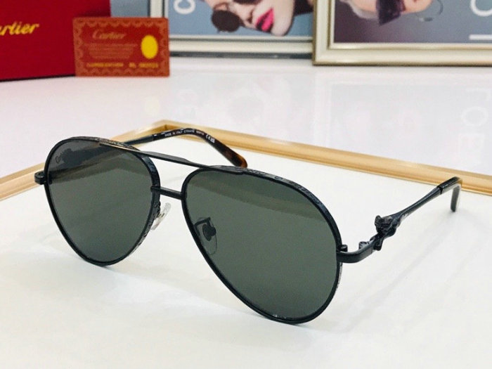 CTR Sunglasses AAA-241