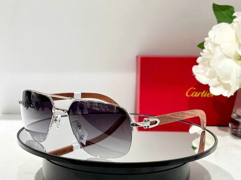 CTR Sunglasses AAA-239