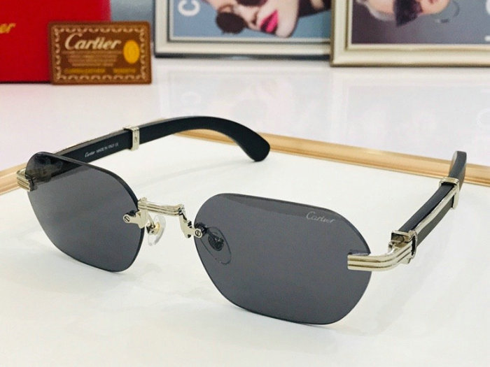 CTR Sunglasses AAA-254