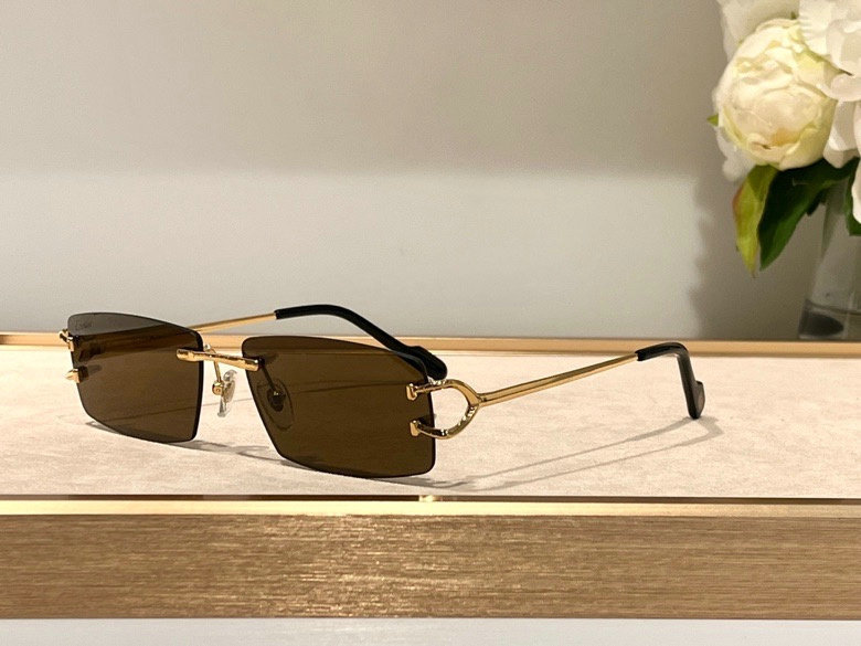 CTR Sunglasses AAA-237