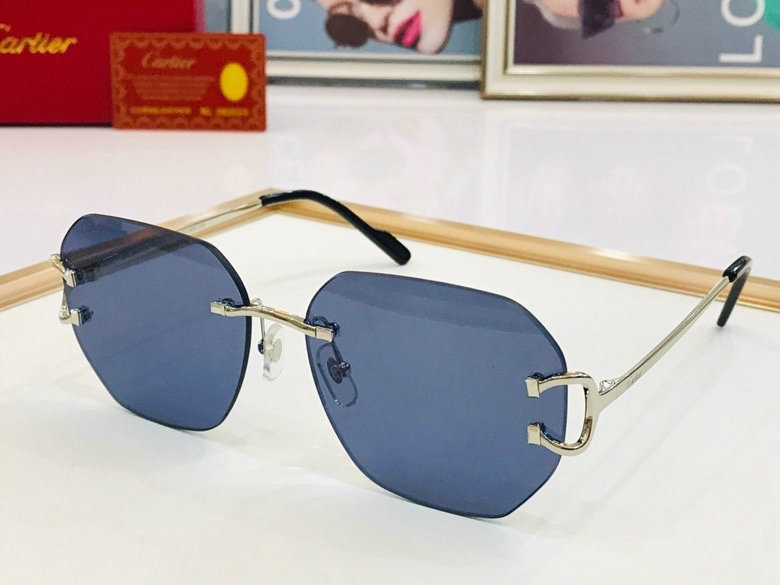 CTR Sunglasses AAA-242