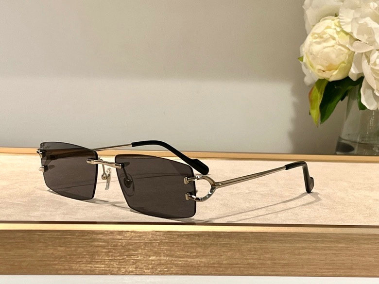 CTR Sunglasses AAA-237