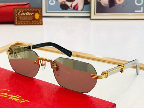 CTR Sunglasses AAA-250