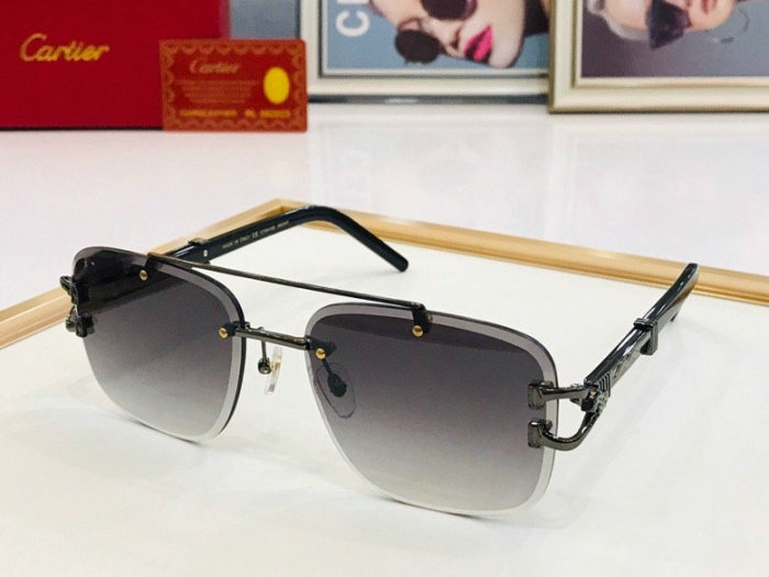 CTR Sunglasses AAA-246