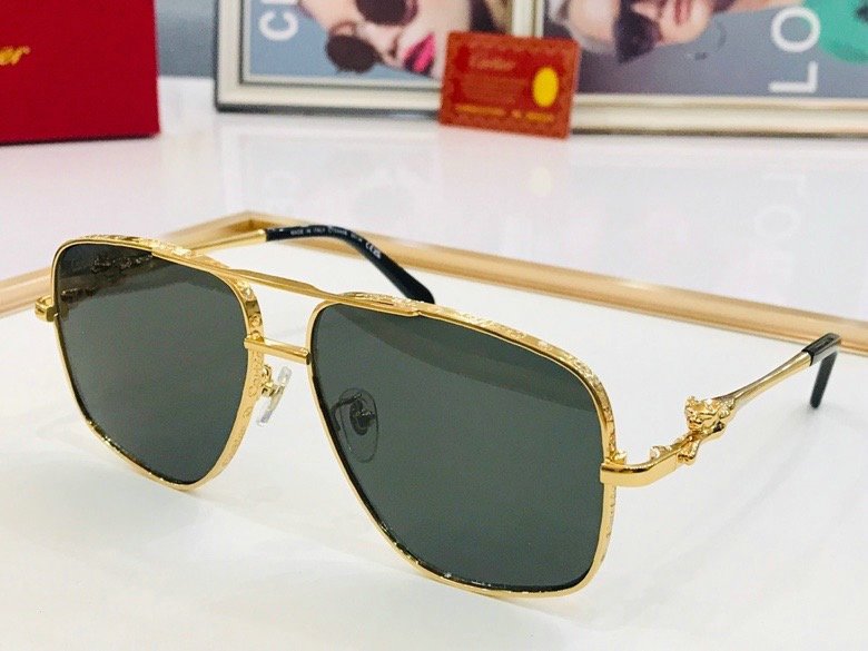CTR Sunglasses AAA-240