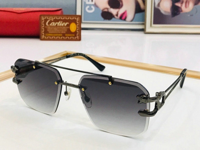 CTR Sunglasses AAA-247