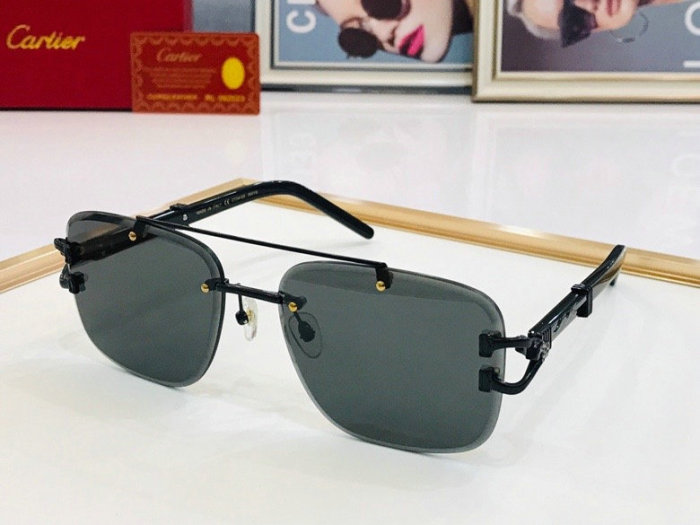 CTR Sunglasses AAA-246