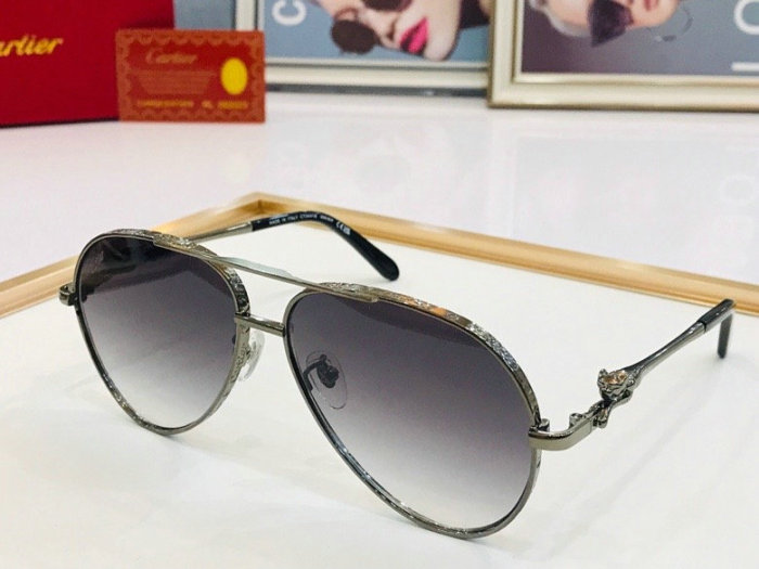 CTR Sunglasses AAA-241