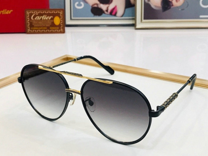 CTR Sunglasses AAA-251
