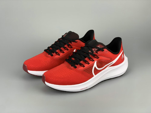 Pegasus 39 men's Shoes-8