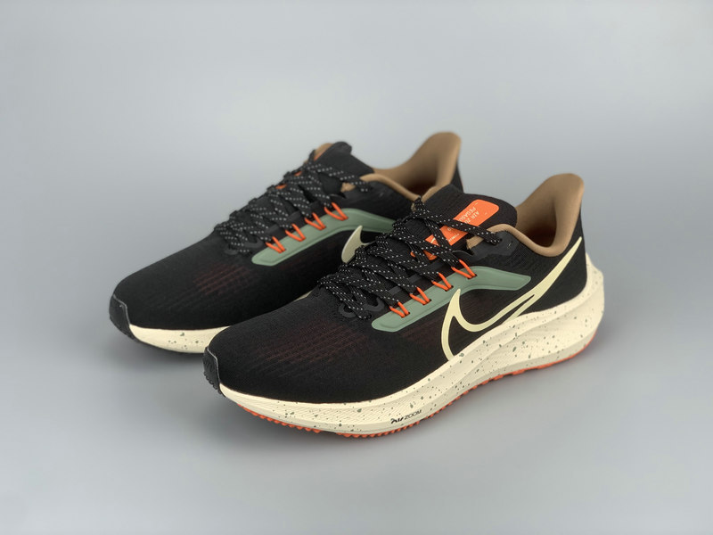 Pegasus 39 men's Shoes-9