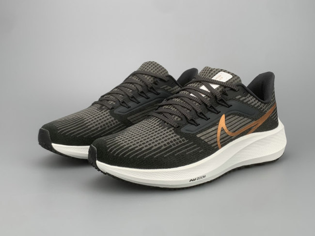 Pegasus 39 Shoes-14