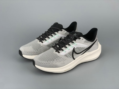 Pegasus 39 men's Shoes-10