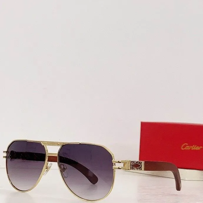 CTR Sunglasses AAA-272