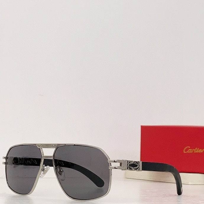 CTR Sunglasses AAA-273