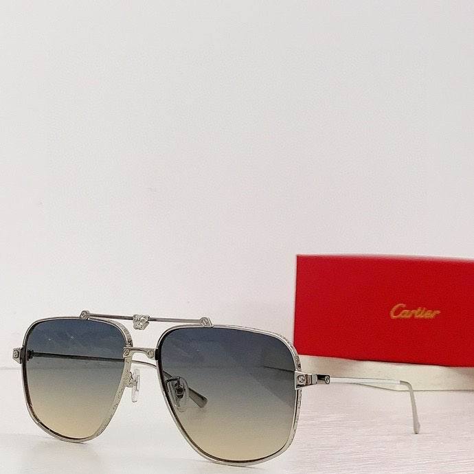 CTR Sunglasses AAA-268