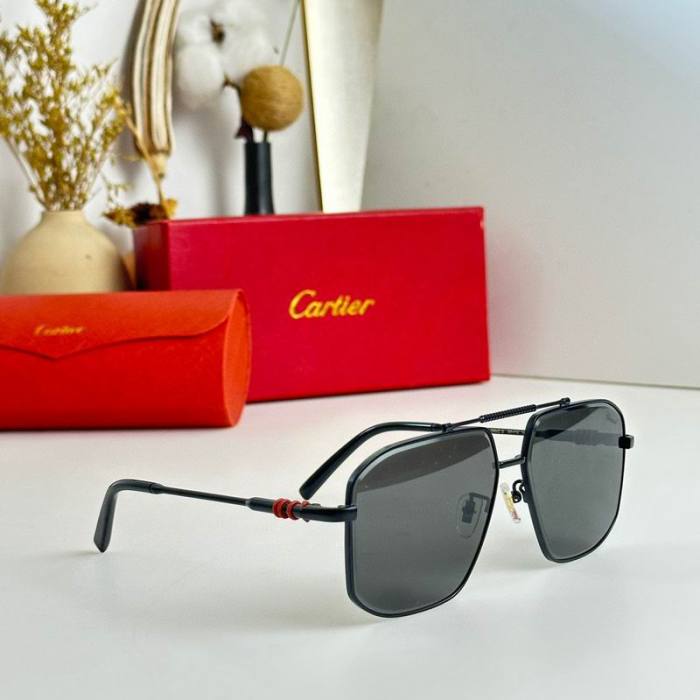 CTR Sunglasses AAA-319