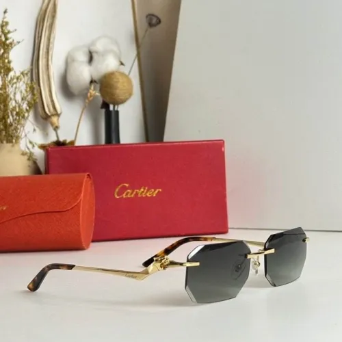 CTR Sunglasses AAA-316