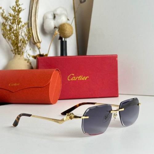 CTR Sunglasses AAA-317