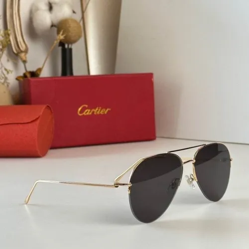 CTR Sunglasses AAA-315