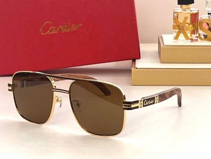 CTR Sunglasses AAA-324