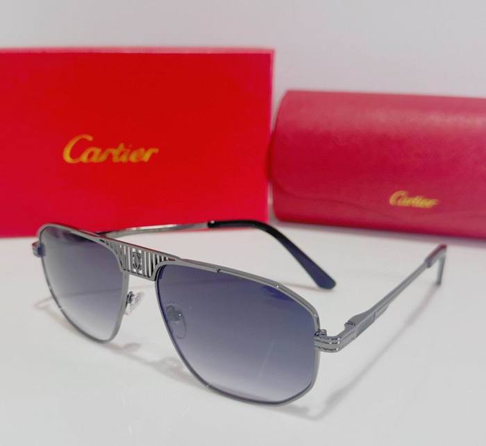 CTR Sunglasses AAA-373