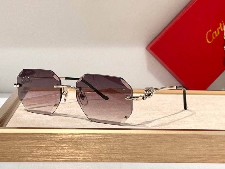 CTR Sunglasses AAA-350