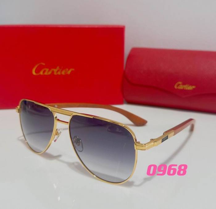 CTR Sunglasses AAA-376