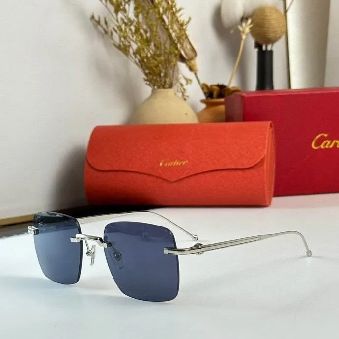 CTR Sunglasses AAA-333
