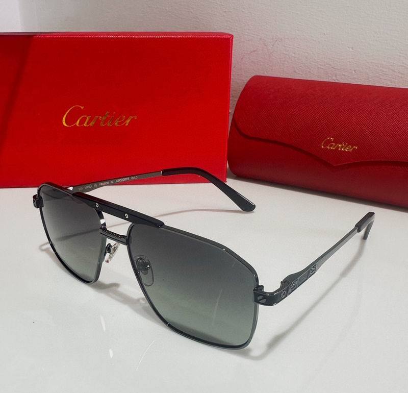 CTR Sunglasses AAA-363